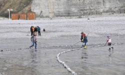 Le Côte d'Albâtre