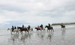 Le Côte d'Albâtre