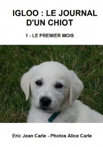 le-cote-d-albatre-igloo-journal-d'un-chiot-1