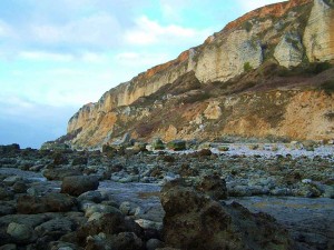 Le Côte d'Albâtre