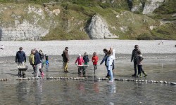 Le Côte d'Albâtre