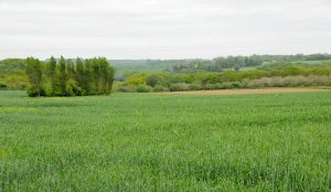 Le Côte d'Albâtre