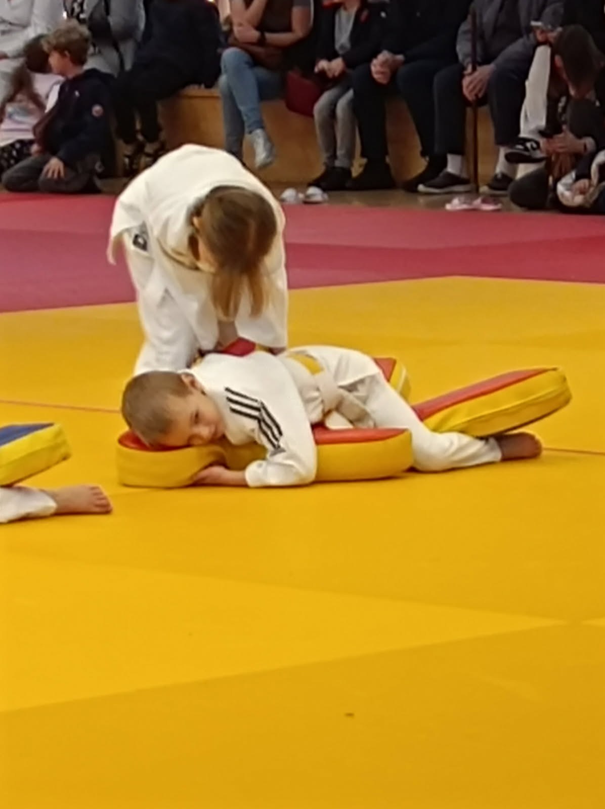 Le Côte d’Albâtre