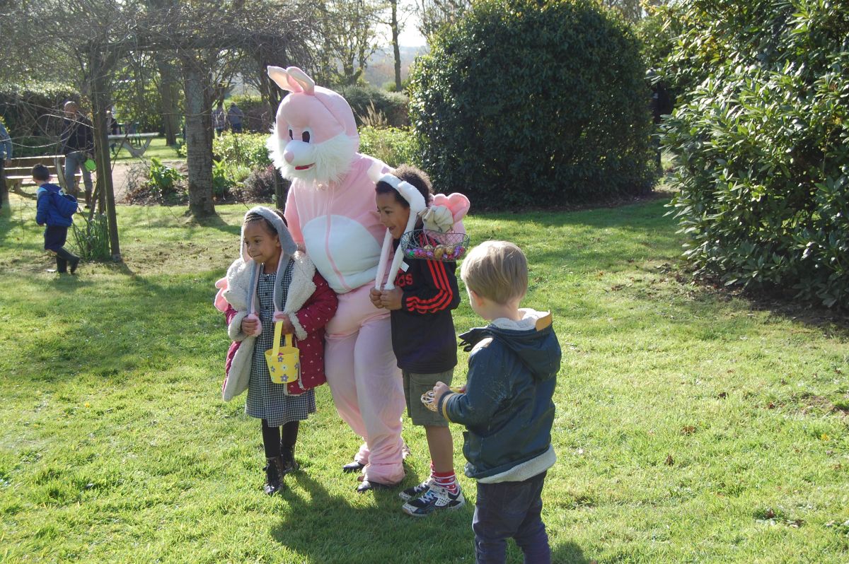 Le Côte d’Albâtre