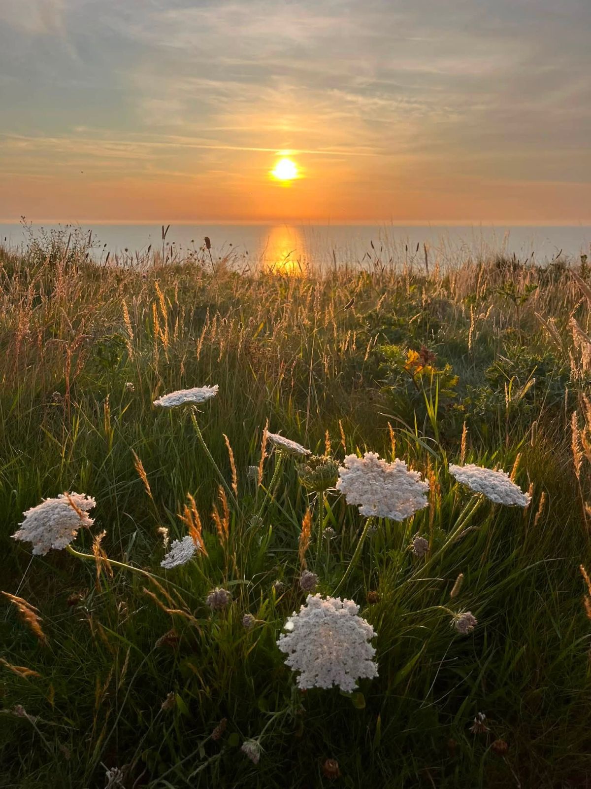 Le Côte d’Albâtre
