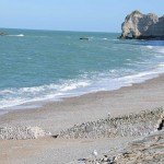 le-cote-d-albatre---etretat-prob-galets-6